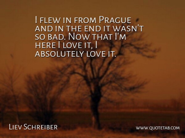 Liev Schreiber Quote About Absolutely, Flew, Love, Prague: I Flew In From Prague...