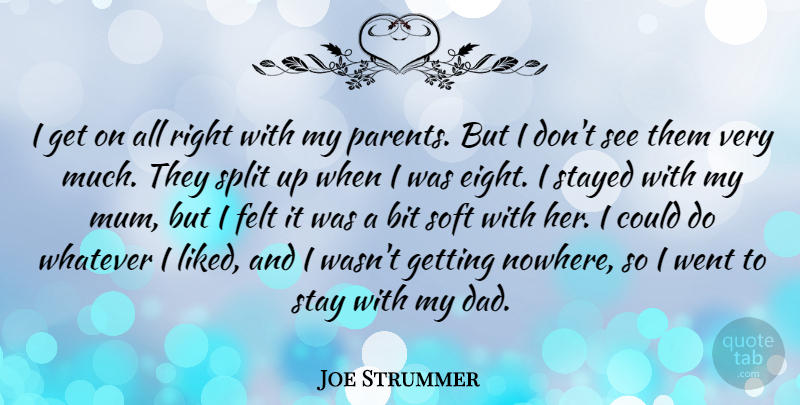 Joe Strummer Quote About Bit, Dad, Felt, Soft, Split: I Get On All Right...