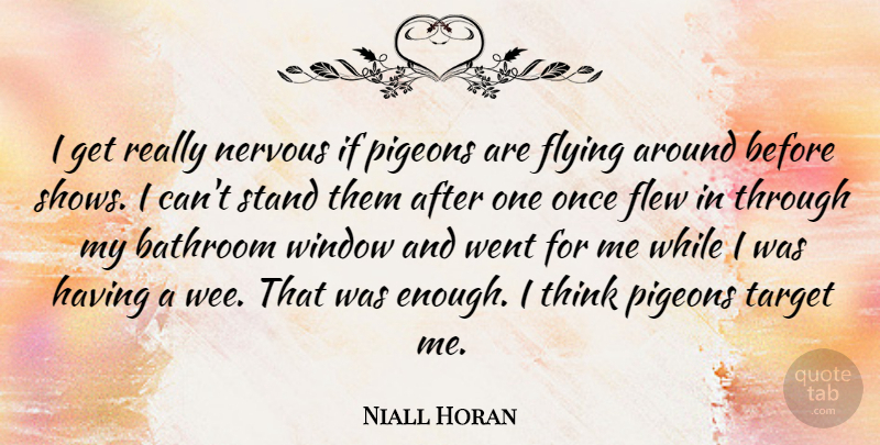 Niall Horan Quote About Thinking, Flying, Target: I Get Really Nervous If...
