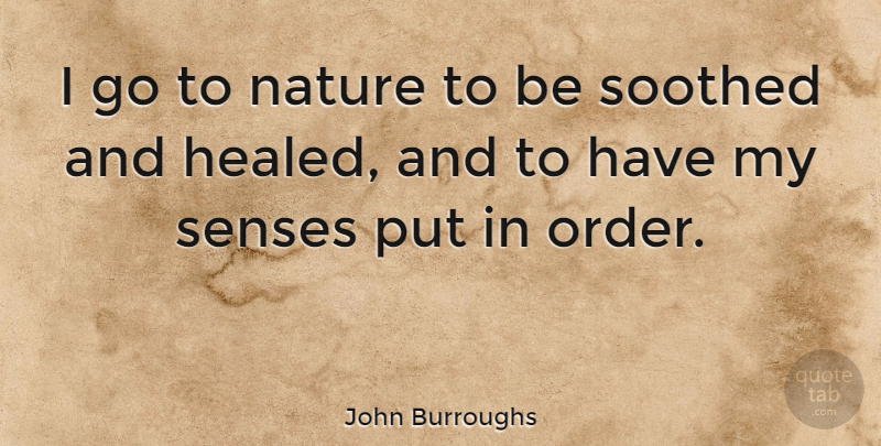 John Burroughs Quote About Music, Nature, Health: I Go To Nature To...