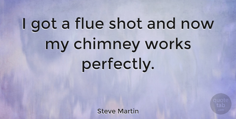 Steve Martin Quote About Chimneys, Shots: I Got A Flue Shot...