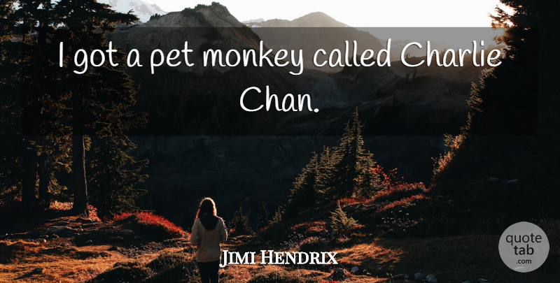 Jimi Hendrix Quote About Pet, Monkeys, Charlie: I Got A Pet Monkey...