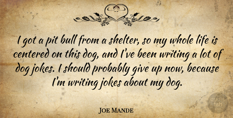 Joe Mande Quote About Dog, Giving Up, Writing: I Got A Pit Bull...