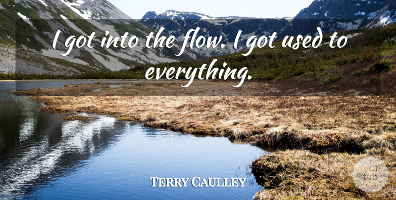 Terry Caulley Quote About undefined: I Got Into The Flow...