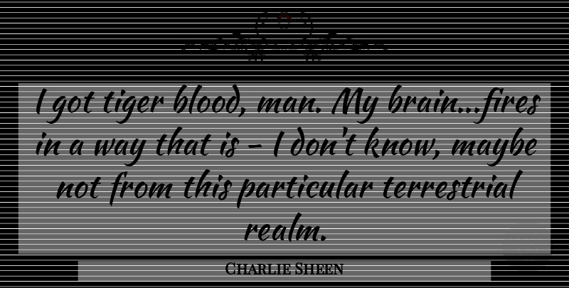 Charlie Sheen Quote About Men, Blood, Fire: I Got Tiger Blood Man...