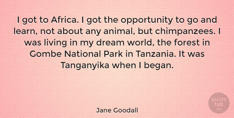 Jane Goodall Quote About Dream, Opportunity, Animal: I Got To Africa I...