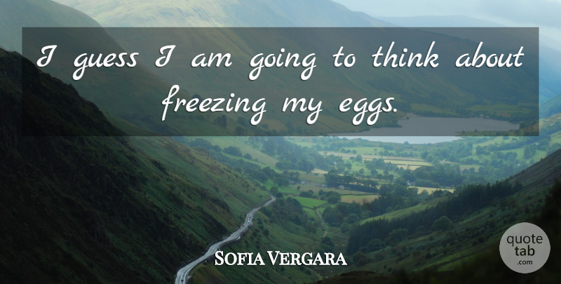 Sofia Vergara Quote About Thinking, Eggs, Freezing: I Guess I Am Going...