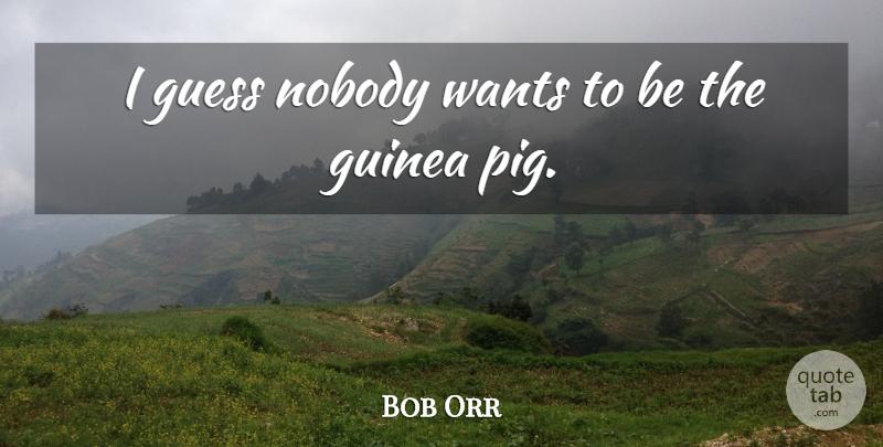 Bob Orr Quote About Guess, Guinea, Nobody, Wants: I Guess Nobody Wants To...