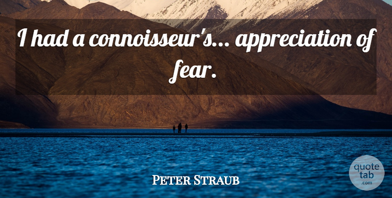 Peter Straub Quote About Appreciation, Connoisseur: I Had A Connoisseurs Appreciation...