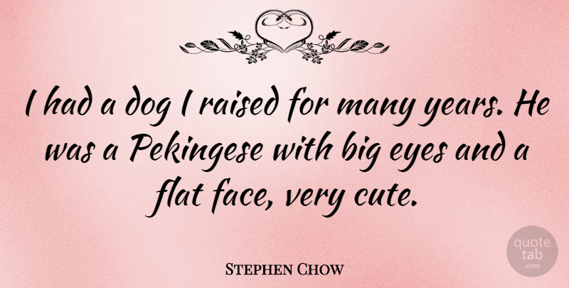 Stephen Chow Quote About Cute, Dog, Eye: I Had A Dog I...
