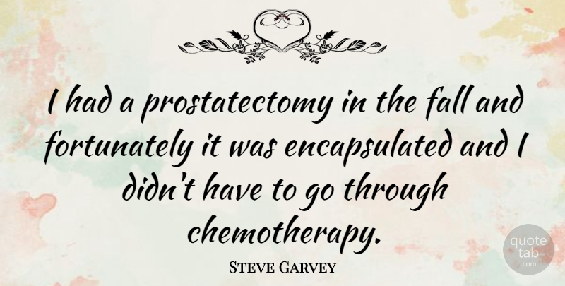 Steve Garvey Quote About Fall, Chemotherapy: I Had A Prostatectomy In...