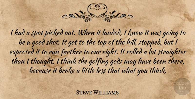 Steve Williams Quote About Broke, Expected, Farther, Gods, Golfing: I Had A Spot Picked...