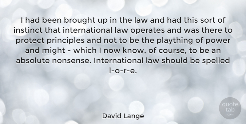 David Lange Quote About Absolute, Brought, Instinct, Might, Plaything: I Had Been Brought Up...