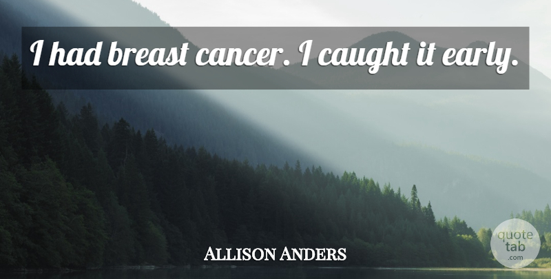 Allison Anders Quote About undefined: I Had Breast Cancer I...