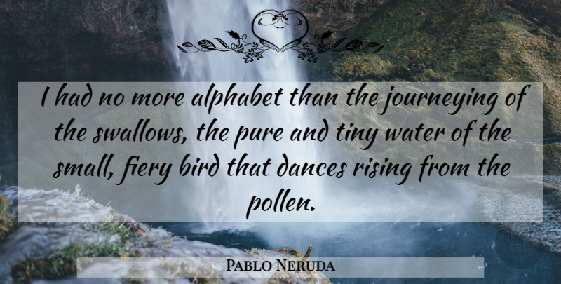 Pablo Neruda Quote About Water, Bird, Alphabet: I Had No More Alphabet...