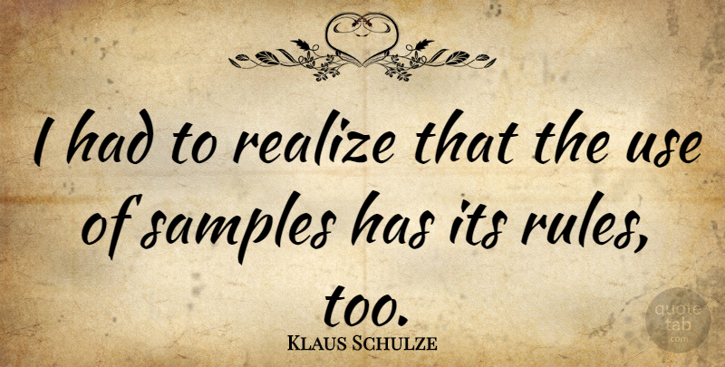 Klaus Schulze Quote About Use, Realizing, Sample: I Had To Realize That...