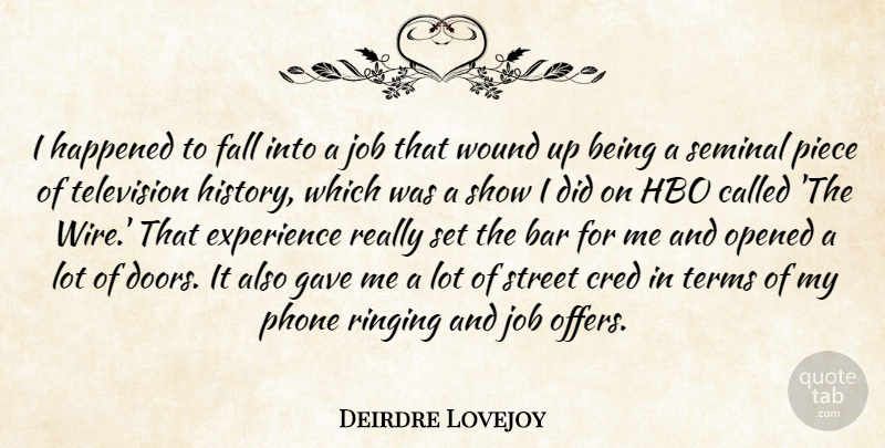 Deirdre Lovejoy Quote About Bar, Experience, Fall, Gave, Happened: I Happened To Fall Into...