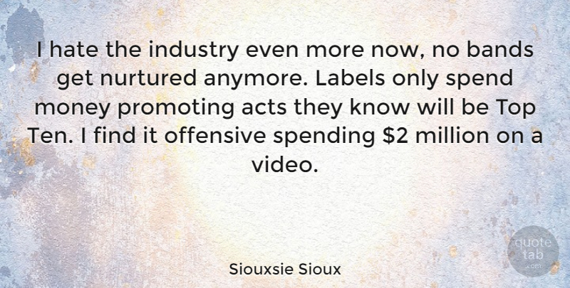Siouxsie Sioux Quote About Hate, Video, Labels: I Hate The Industry Even...