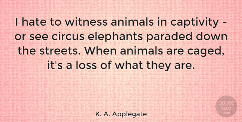 K. A. Applegate Quote About Captivity, Circus, Elephants, Witness: I Hate To Witness Animals...
