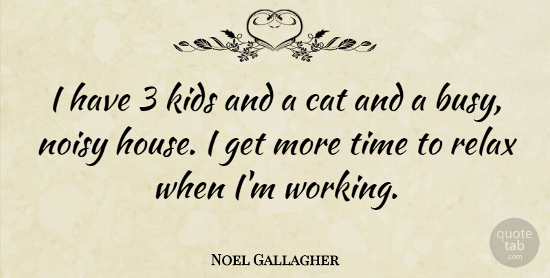 Noel Gallagher Quote About Cat, Kids, House: I Have 3 Kids And...