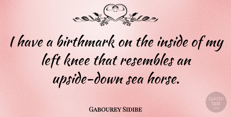 Gabourey Sidibe Quote About Horse, Sea, Knees: I Have A Birthmark On...