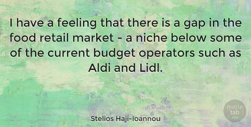 Stelios Haji-Ioannou Quote About Below, Current, Feeling, Food, Gap: I Have A Feeling That...