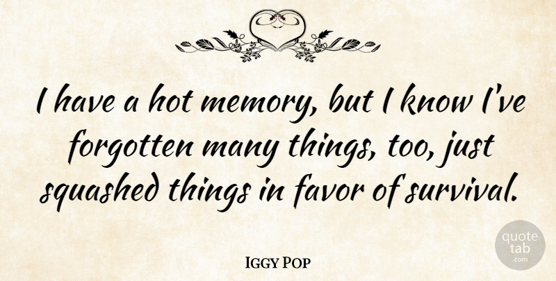 Iggy Pop Quote About Memories, Survival, Favors: I Have A Hot Memory...