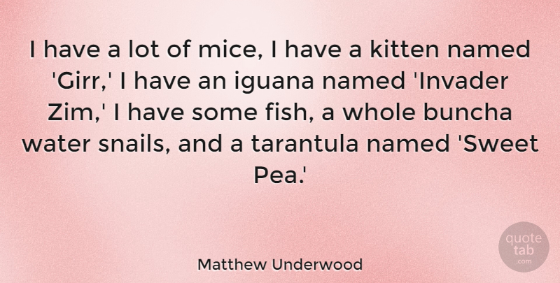 Matthew Underwood Quote About Kitten, Named: I Have A Lot Of...