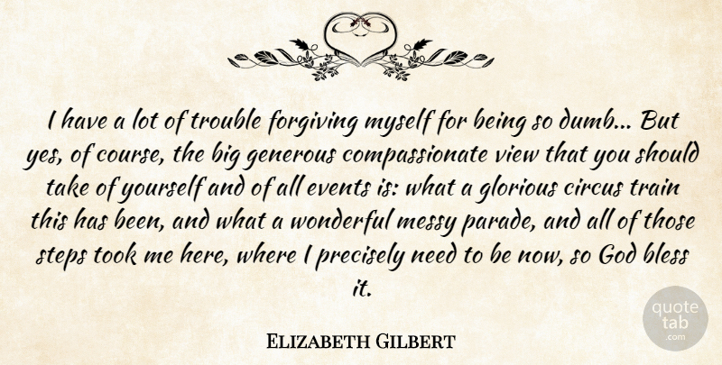 Elizabeth Gilbert Quote About Views, Dumb, Forgiving: I Have A Lot Of...