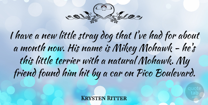 Krysten Ritter Quote About Dog, Names, Car: I Have A New Little...