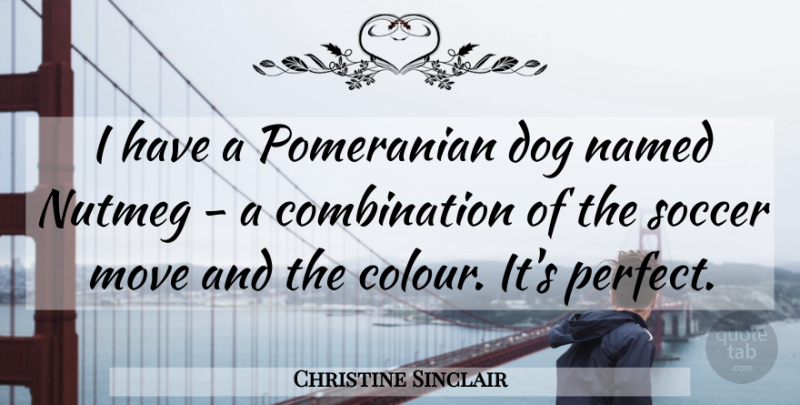 Christine Sinclair Quote About Move, Named: I Have A Pomeranian Dog...