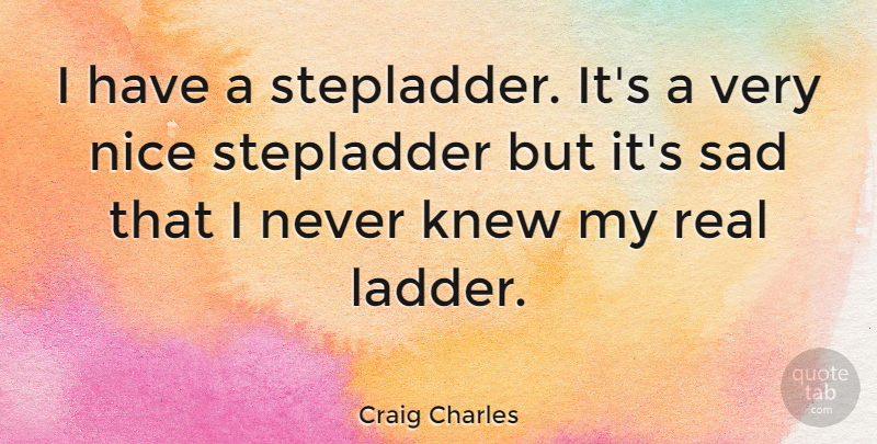 Craig Charles Quote About Nice, Real, Ladders: I Have A Stepladder Its...