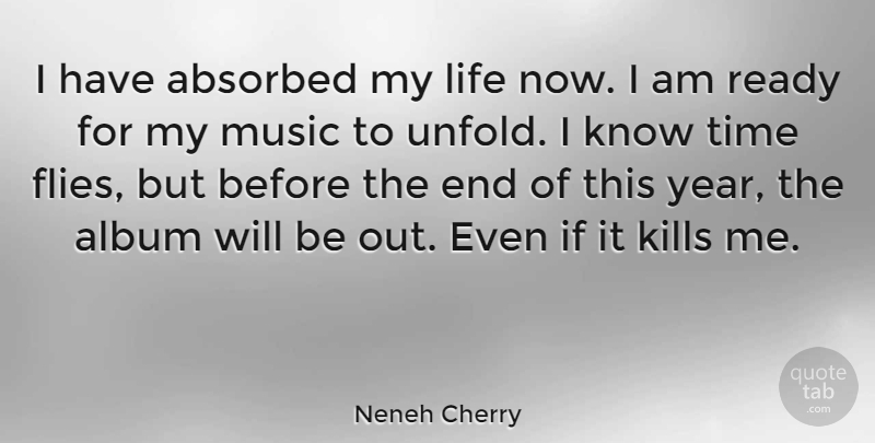 Neneh Cherry Quote About Years, Time Flies, Albums: I Have Absorbed My Life...