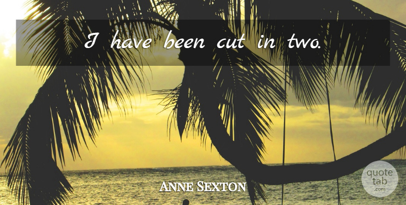 Anne Sexton Quote About Cutting, Two, Mental Health: I Have Been Cut In...