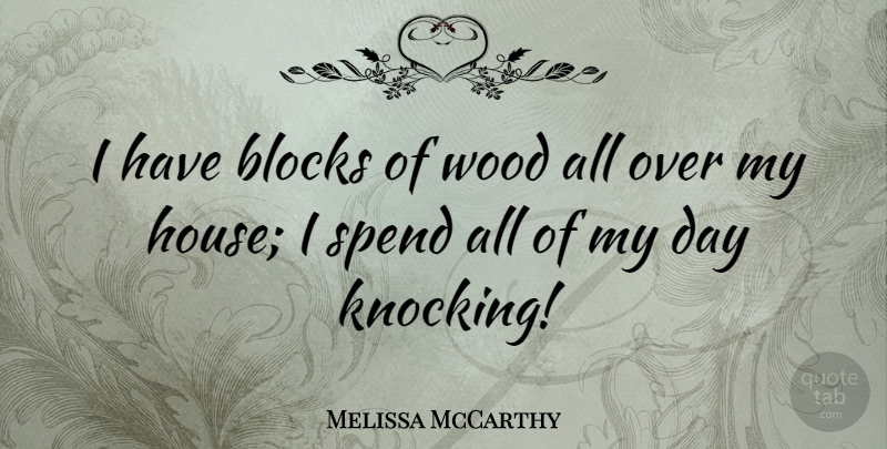 Melissa McCarthy Quote About Blocks: I Have Blocks Of Wood...