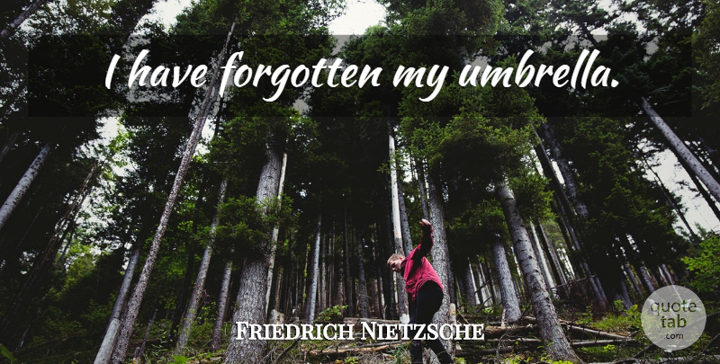 Friedrich Nietzsche Quote About Forgotten, Aphorism, Umbrella: I Have Forgotten My Umbrella...