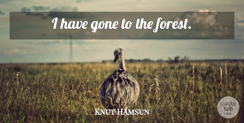 Knut Hamsun Quote About Gone, Forests: I Have Gone To The...