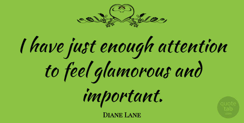 Diane Lane Quote About Important, Attention, Enough: I Have Just Enough Attention...