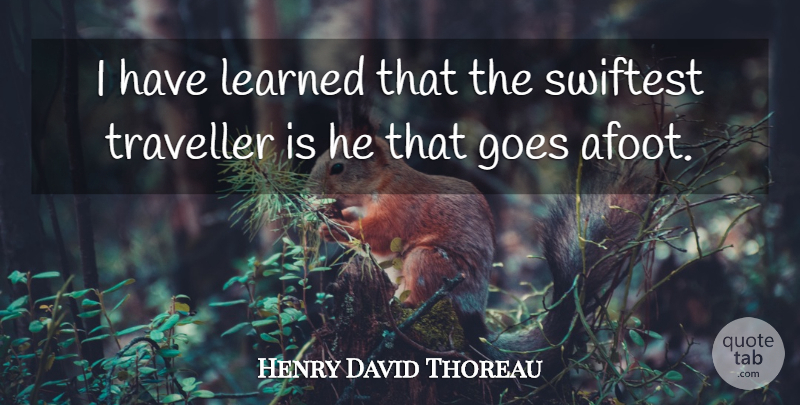 Henry David Thoreau Quote About I Have Learned, Traveller: I Have Learned That The...