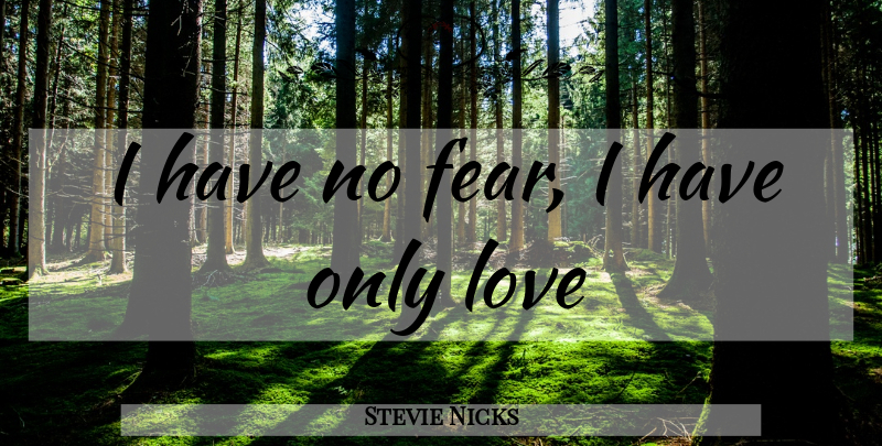 Stevie Nicks Quote About Inspirational, No Fear, Have No Fear: I Have No Fear I...