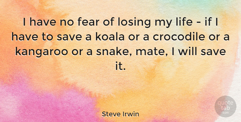 Steve Irwin Quote About Nature, Fear, Koalas: I Have No Fear Of...