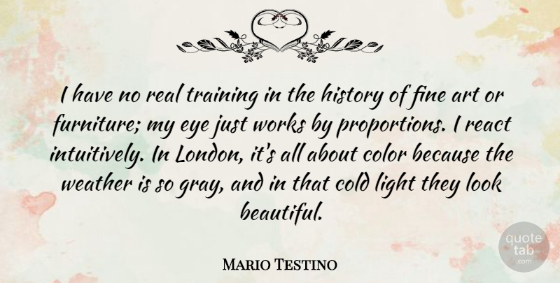 Mario Testino Quote About Art, Cold, Color, Eye, Fine: I Have No Real Training...