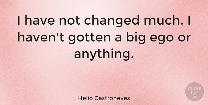 Helio Castroneves Quote About undefined: I Have Not Changed Much...