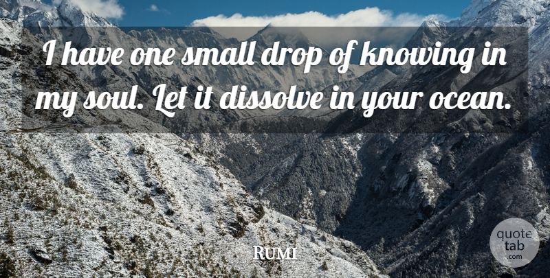 Rumi Quote About Spiritual, Wisdom, Ocean: I Have One Small Drop...