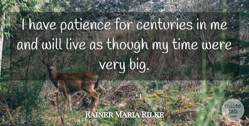 Rainer Maria Rilke Quote About Bigs, Century, Having Patience: I Have Patience For Centuries...