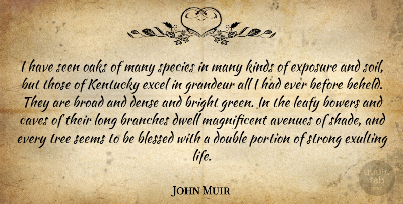 John Muir Quote About Strong, Blessed, Kentucky: I Have Seen Oaks Of...