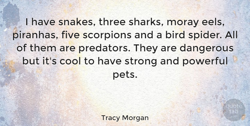 Tracy Morgan Quote About Strong, Powerful, Sharks: I Have Snakes Three Sharks...