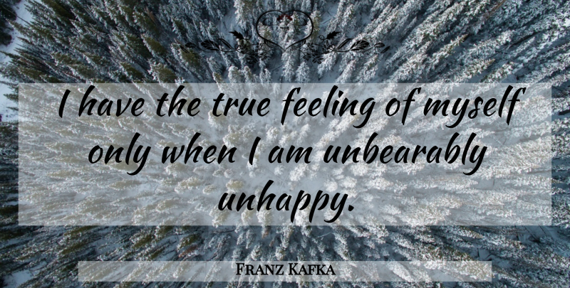 Franz Kafka Quote About Depression, Feelings, Unhappy: I Have The True Feeling...