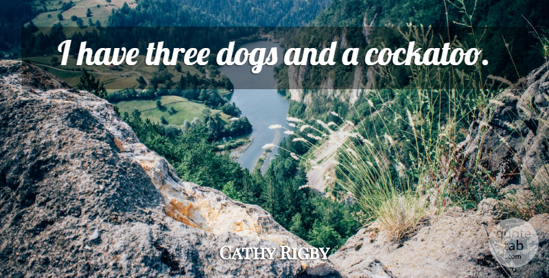 Cathy Rigby Quote About Dog, Three, Three Dog: I Have Three Dogs And...