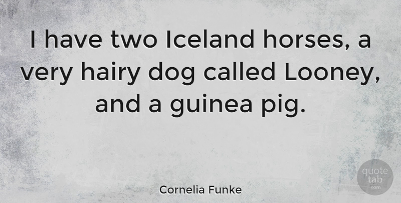 Cornelia Funke Quote About Dog, Horse, Iceland: I Have Two Iceland Horses...